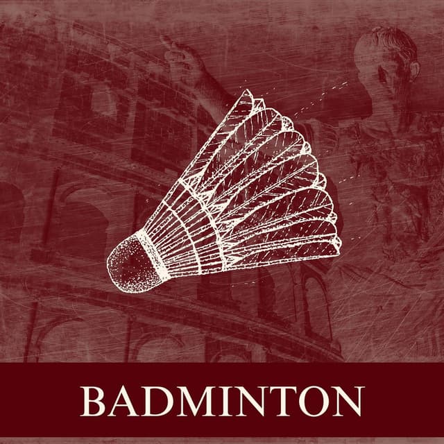 /sportsbadminton.jpeg