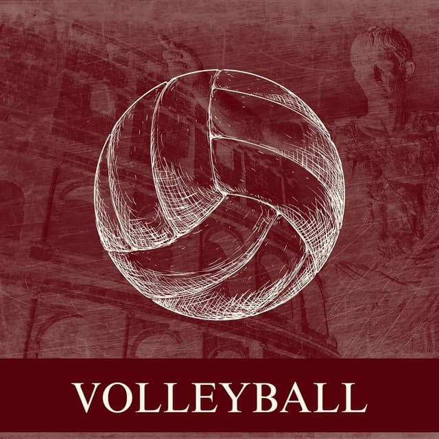 /sportsvolleyball.jpeg